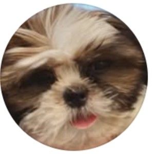 Meet your Posher, Gabrielle